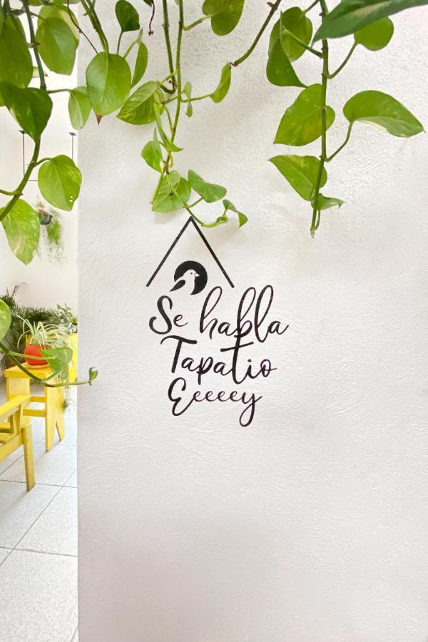 Casa Canario Albergue Guadalajara